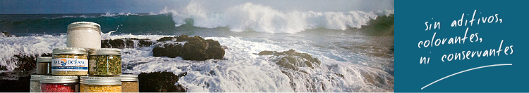 Bild Meer mit SalOceano Dosen
