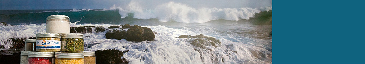 Bild Meer mit SalOceano Dosen